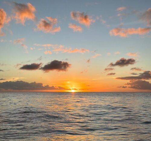 WhatsApp Image 2026-01-07 at 20.15.56 (1)