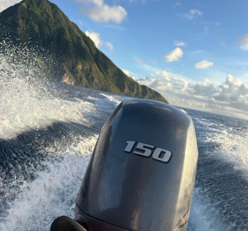 WhatsApp Image 2026-01-07 at 20.15.56